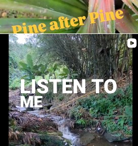 Natural stream near Sandboux